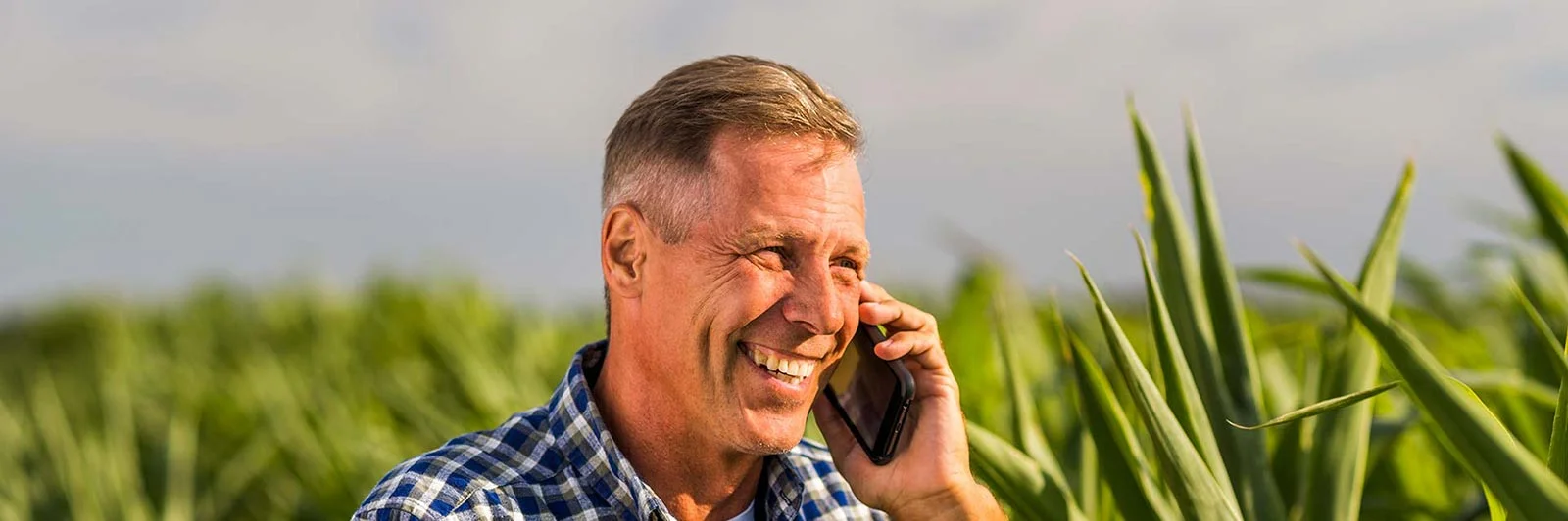 vink tandtechniek ontbrekende tanden of kiezen